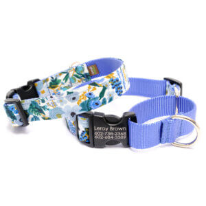 martingale dog collar blue petite rose personalized