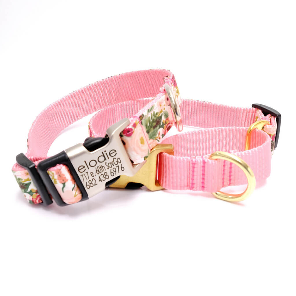 martingale dog collar pink petite rose personalized