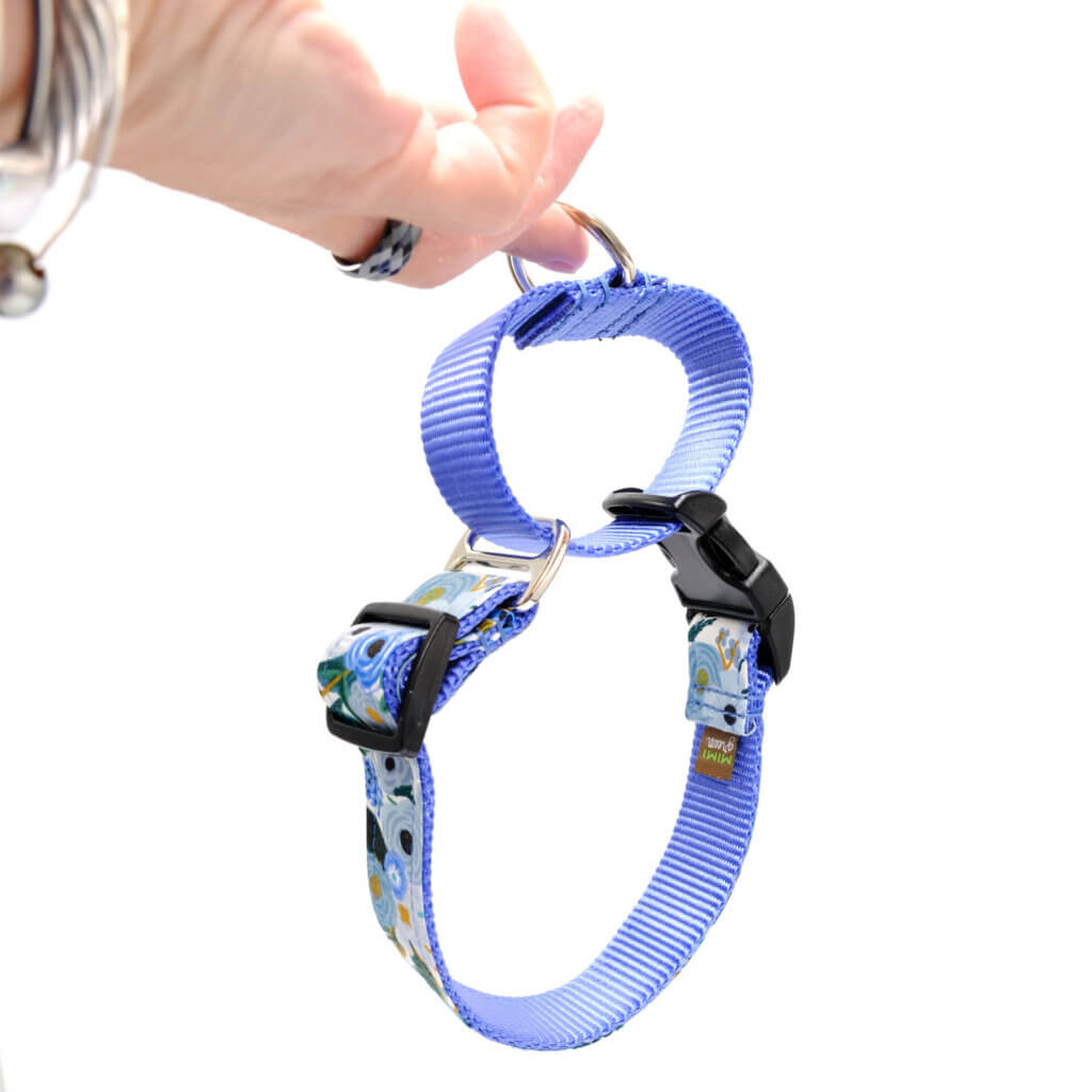 martingale dog collar rifle paper floral