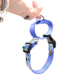 martingale dog collar rifle paper floral