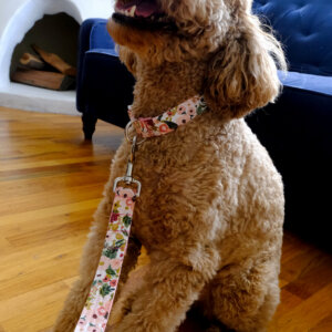 millie petite rose pink