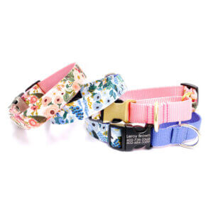 petite rose martingale dog collar stack engraved