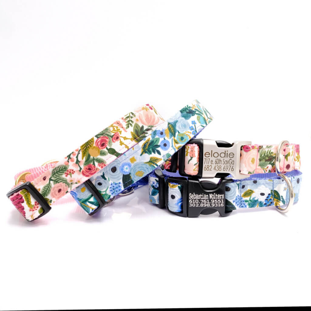 petite rose dog collar rifle paper engraved