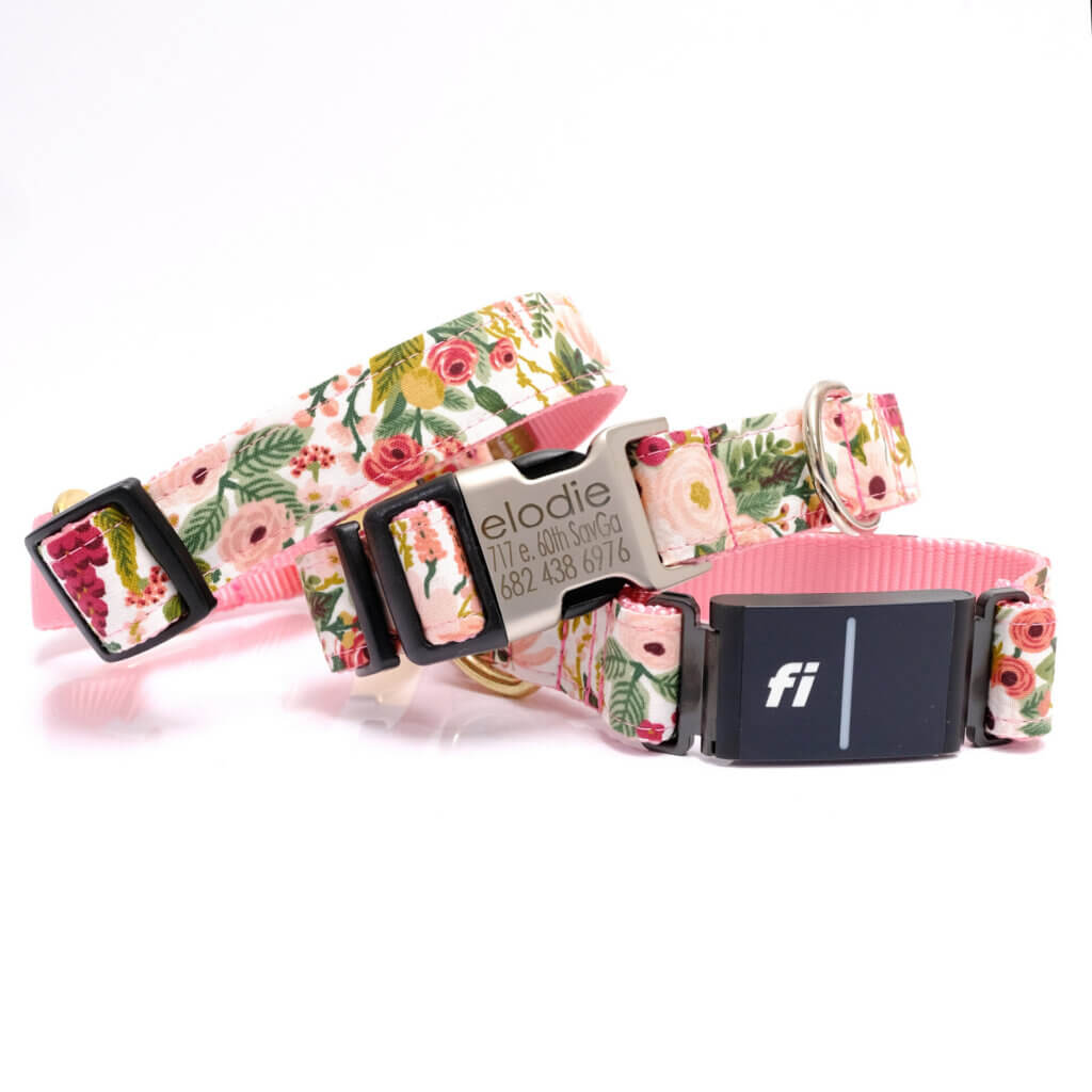 petite rose rifle paper pink fi collar stack