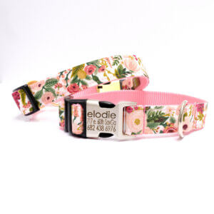 pink petite rose rifle paper dog collar personalized
