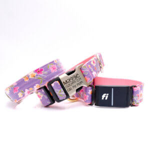 purple fi dog collar junie floral