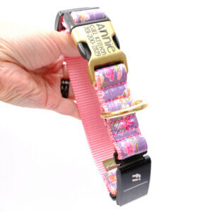 purple fi dog collar junie floral