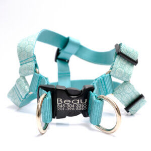 teal vibes step in dog harness engraved