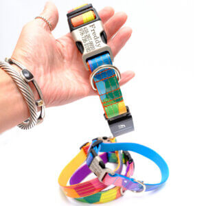 Fi dog collar laminated bright prism