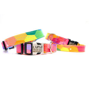 colorful dog collar prism engraved buckle