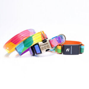 colorful fi dog collar laminated prism