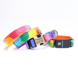 Alternative view of Prism Fi Compatible Laminated Cotton Dog Collar