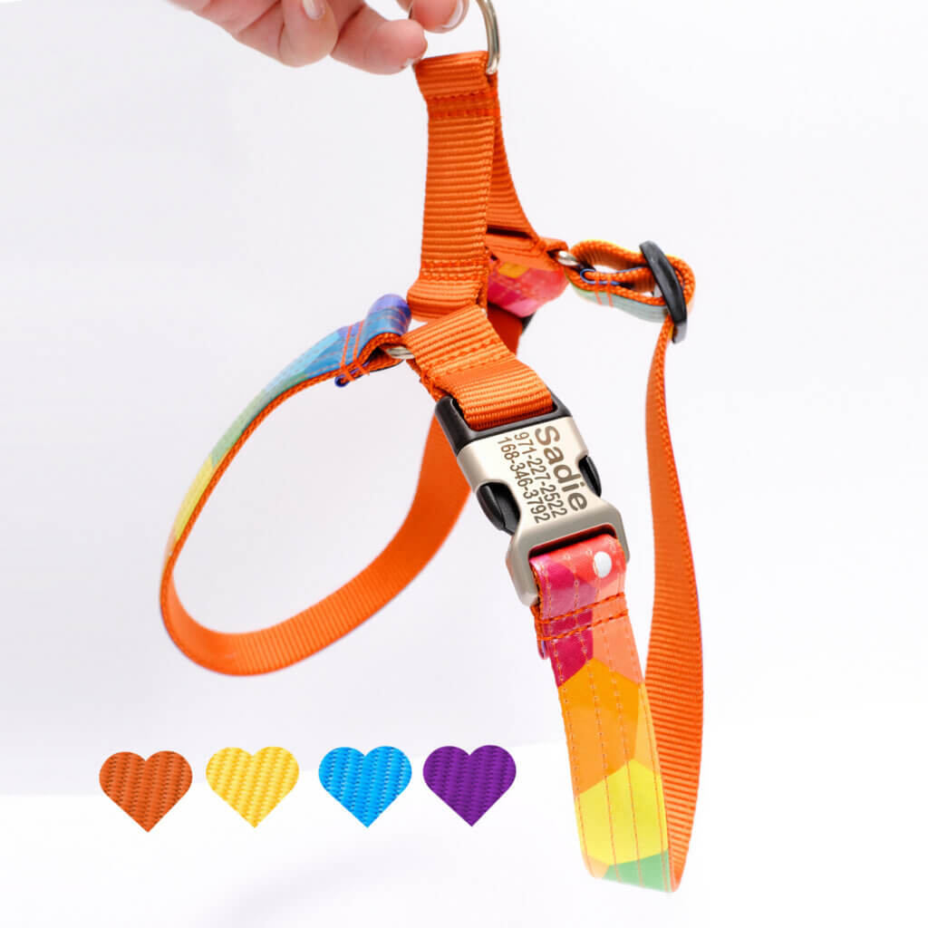 easy on harness prism colorful orange swatches