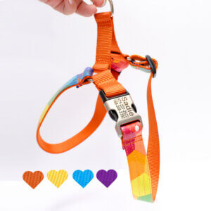 easy on harness prism colorful orange swatches
