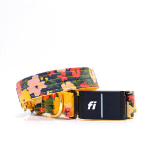Meadow Floral Fi Compatible Dog Collar | Laminated Cotton