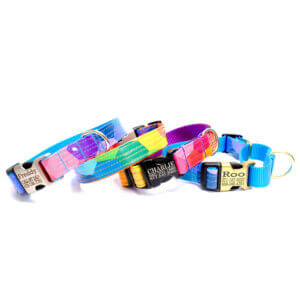martingale dog collar laminated Prism