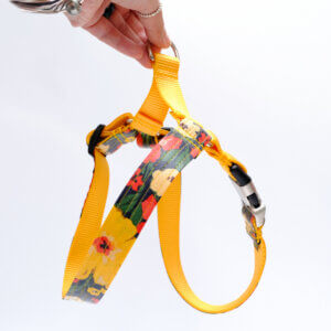 meadow floral easy on dog harness