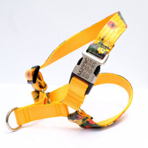 meadow floral easy on dog harness personalized