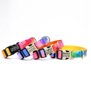 party dog collar prism engraved buckle