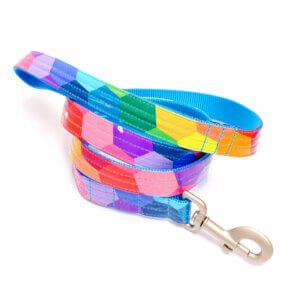 prism dog leash blue colorful