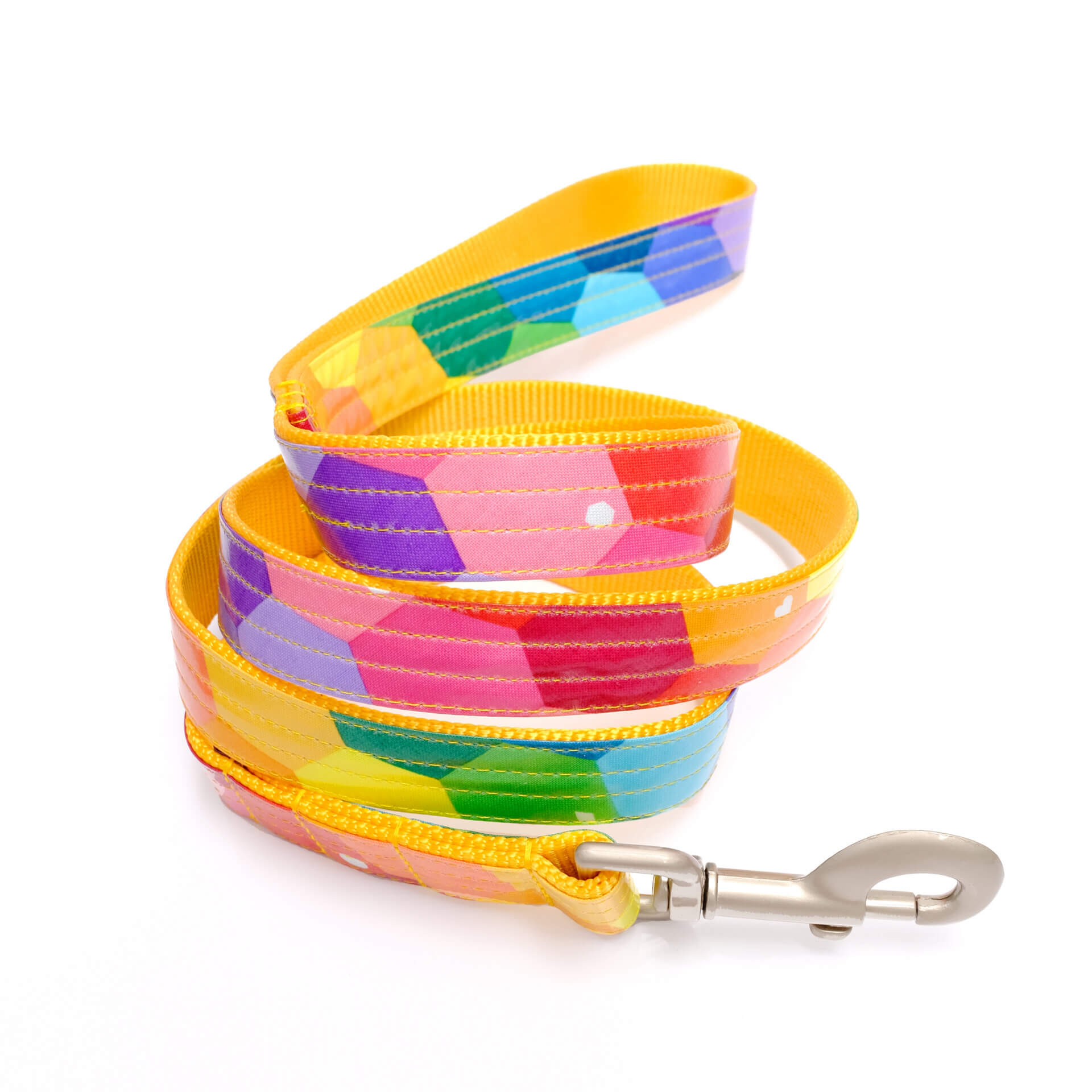prism dog leash colorful laminate