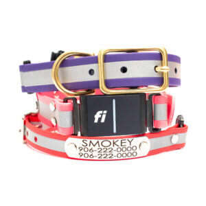 Fi reflective dog collar in line stack
