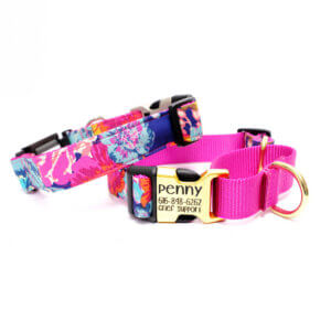 ella dog martingale collar