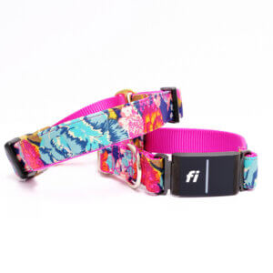 ella floral fi dog collar