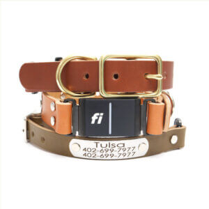fi compatible leather belt buckle nameplate collars