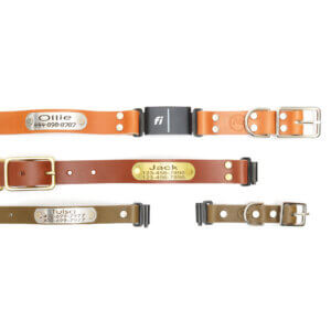 fi compatible leather belt buckle nameplate collars