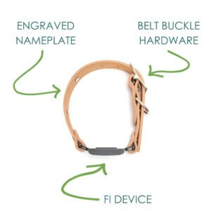 fi compatible leather belt buckle nameplate collars (chart)