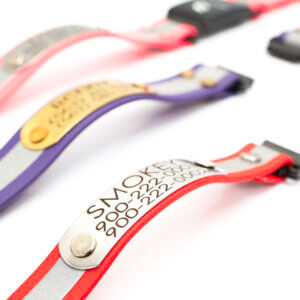 fi compatible reflective belt buckle nameplate collars series 3