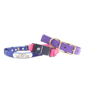 fi compatible waterproof belt buckle nameplate collars