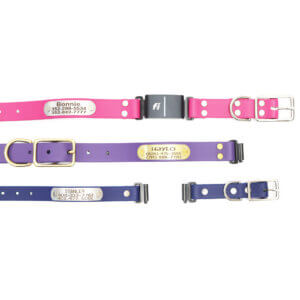 fi compatible waterproof belt buckle nameplate collars