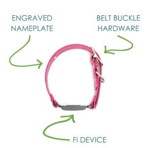fi compatible waterproof belt buckle nameplate collars (chart)