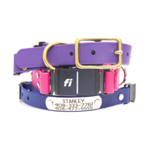 fi compatible waterproof belt buckle nameplate collars