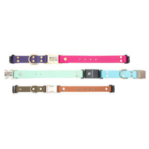 two tone in line fi compatible side release buckle collars