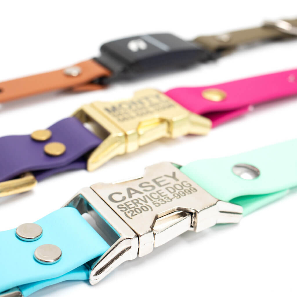 two tone in line fi compatible side release buckle collars