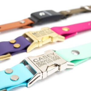two tone in line fi compatible side release buckle collars