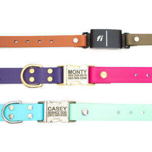 two tone in line fi 3+ compatible side release buckle collars flat