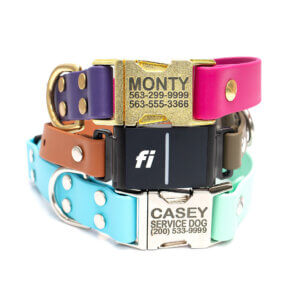 two tone in line fi compatible side release buckle collars stack