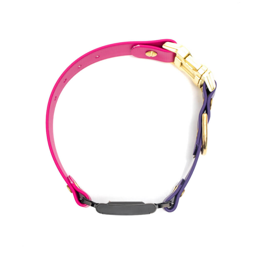 two tone in line fi compatible side release buckle collars