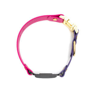 two tone in line fi compatible side release buckle collars