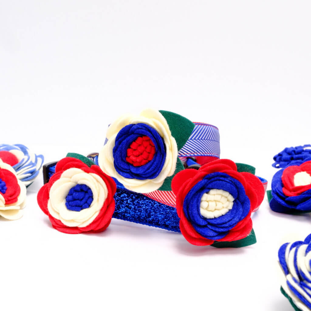 wildflower independence day dog collar accessory