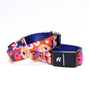 Fi dog collar rifle paper co floral orange and blue
