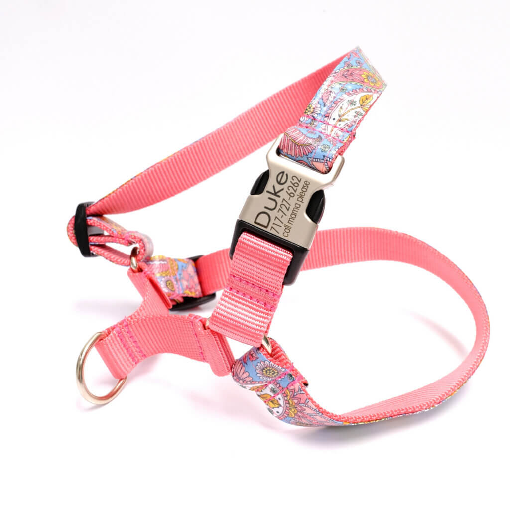 easy on paisley dog harness personalized stevie