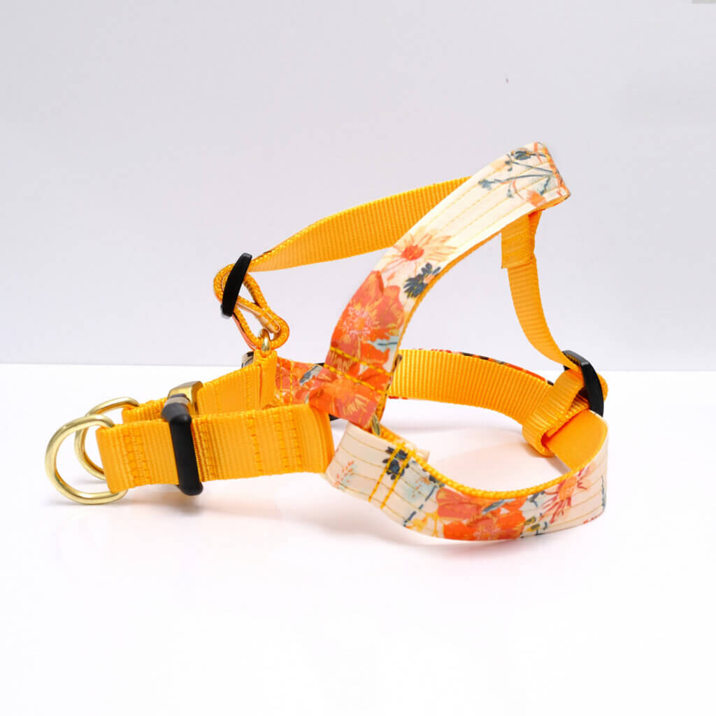 hazel dog harness step in
