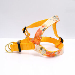 hazel dog harness step in