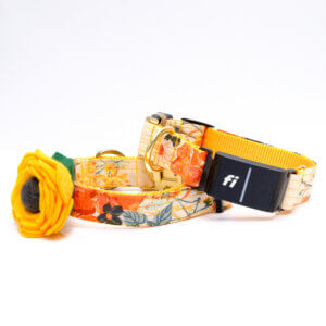 hazel floral fi collar yellow