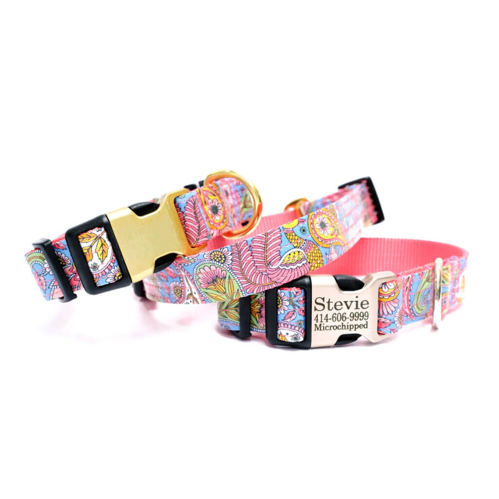 paisley dog collar engraved stevie